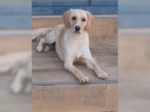 Lotti – Bild 1