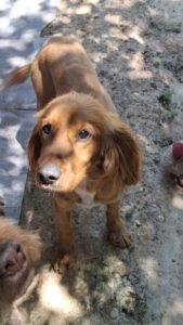 Cookie – Bild 5