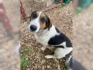Frieda – Bild 3