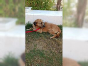 Nova – Bild 7