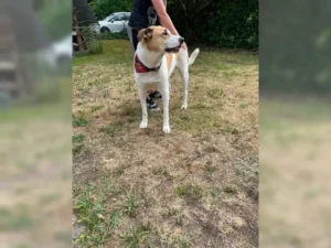 Emil – Bild 5