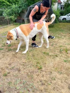 Emil – Bild 8