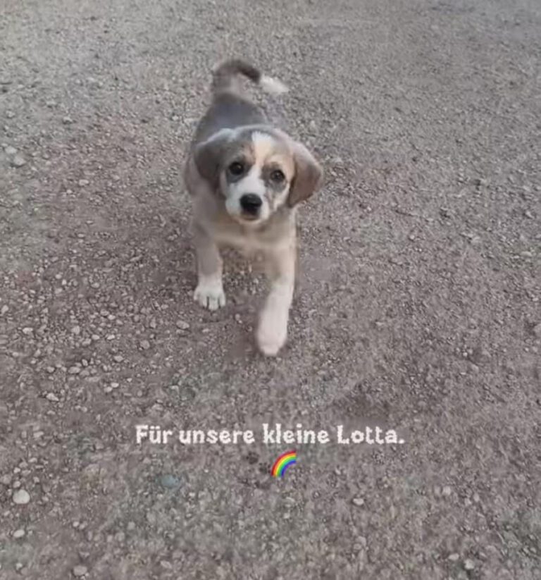 Lotta