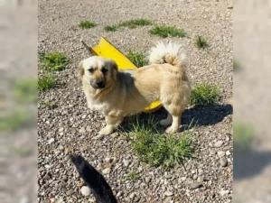 Daisy – Bild 5