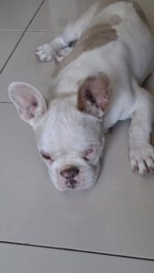Yoda – Bild 11