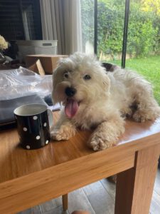 Ronja – Bild 11