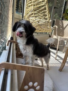 Lily – Bild 14