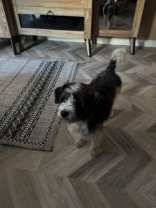 Lily – Bild 12