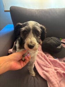 Lily – Bild 2