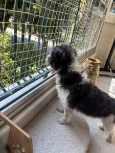 Lily – Bild 10