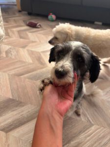 Lily – Bild 3