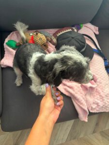 Lily – Bild 6