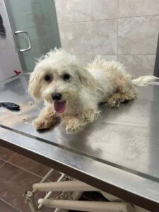 Ronja – Bild 6