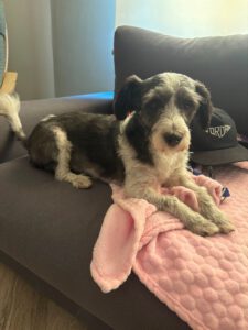 Lily – Bild 7