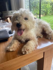 Ronja – Bild 8