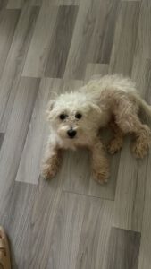 Ronja – Bild 9