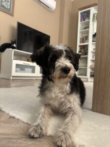 Lily – Bild 17